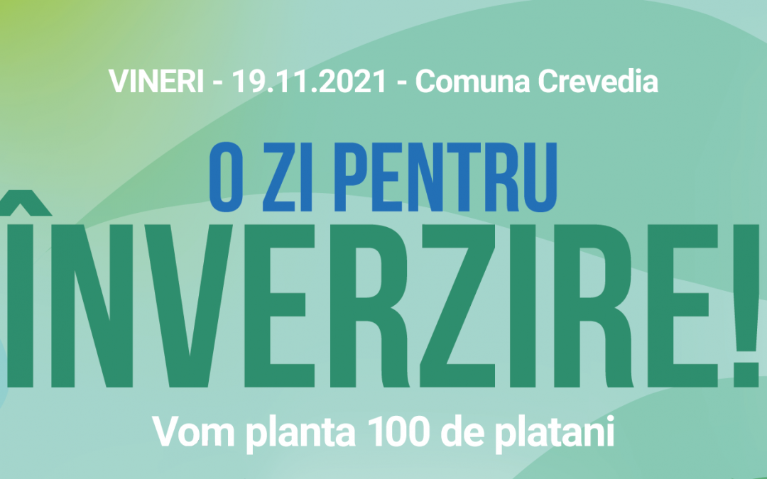Actiune de plantare platani 19.11.2021